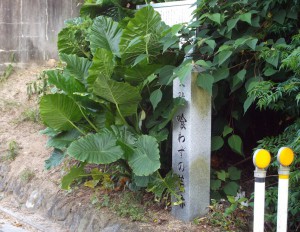 喰わずの芋　案内板